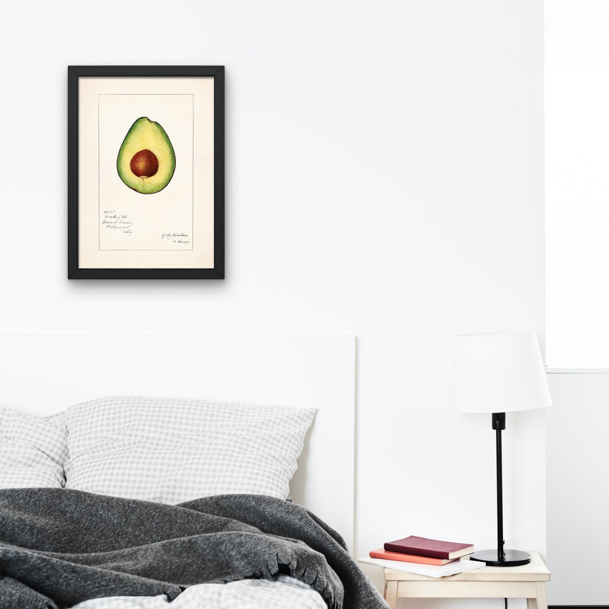 Vibrant botanical watercolor painting of a halved avocado with a prominent pit, from The Pomological Watercolor Collection, featuring the 'Dickey Avocado' variety from Hollywood, California, expertly illustrated by artist A.H. Newton, dated 7-26-1917.