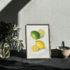 Botanical illustration of green and yellow lemons, one whole and one sliced, from The Pomological Watercolor Collection, Riverside, California, created by artist E. Schutt on January 9, 1908, detailing the vibrant citrus fruits' texture and color.