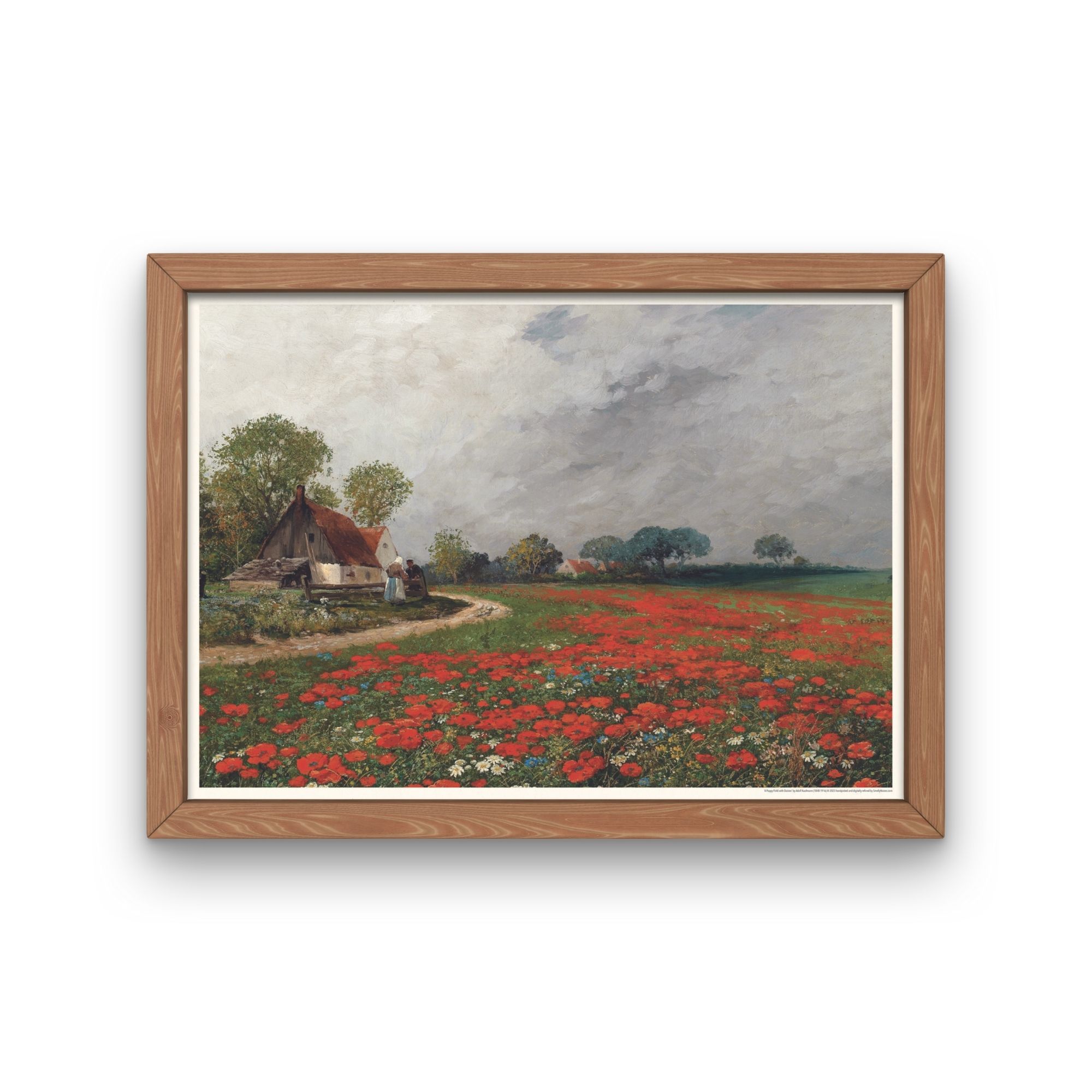 A Poppy Field with Daisies