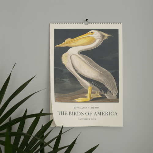 2024 John James Audubon wall calendar with a detailed illustration of an American White Pelican