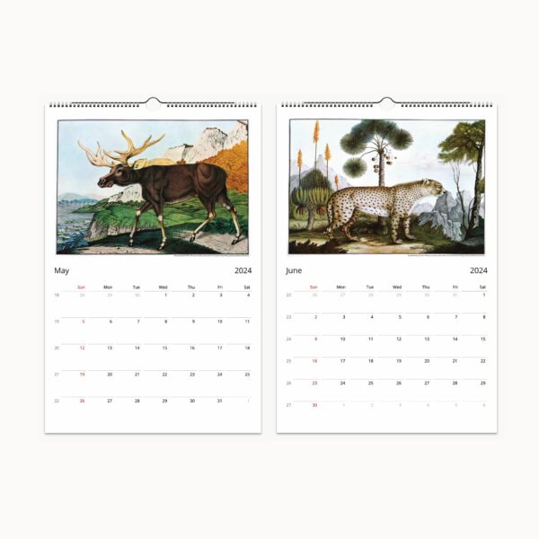 Mystical Menagerie calendar cover featuring the vivid wildlife art of Aloys Zötl with an intricately illustrated fantasy bird, combining features of peacock and ostrich, set against a detailed landscape of lush trees and mountains.