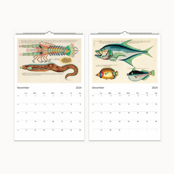 Louis Renard 18th-century marine biology art featured in 2024 wall calendar, showcasing vivid hand-colored engravings of ocean life for unique home decor and timeless beauty.