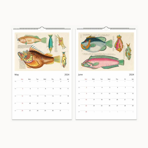 Louis Renard 18th-century marine biology art featured in 2024 wall calendar, showcasing vivid hand-colored engravings of ocean life for unique home decor and timeless beauty.