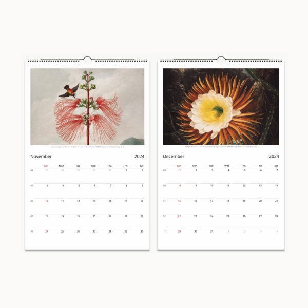 2024 'A Year in the Garden' Wall Calendar featuring Robert John Thornton's botanical art from 'The Temple of Flora', perfect for nature and art lovers.