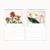 2024 Sarah Ann Featon Botanical Art Calendar, with historical New Zealand flora illustrations and descriptions.