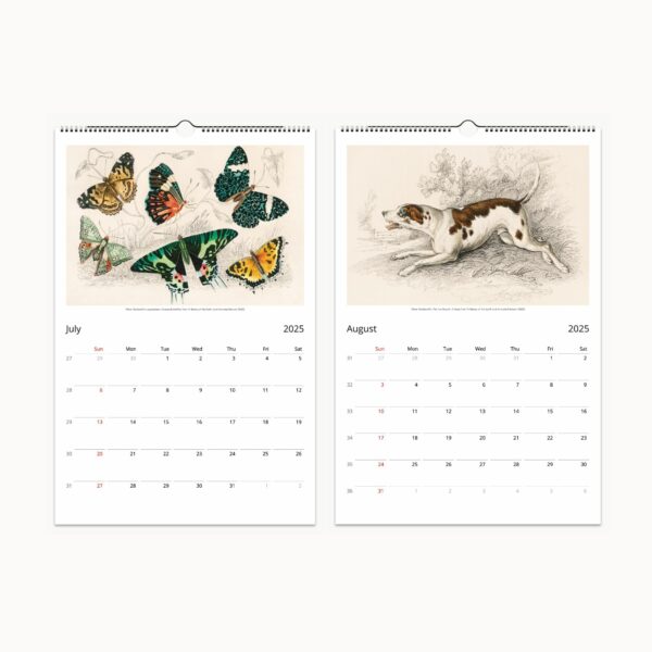 Wall Calendar featuring A History of the Earth and Animated Nature by Oliver Goldsmith, available in Ledger and Letter sizes, showcasing meticulously detailed wildlife illustrations for home or office decor and educational use.