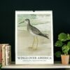 'Wings Over America' Wall Calendar with John L. Ridgway Bird Illustrations - Perfect for Ornithologists and Art Collectors