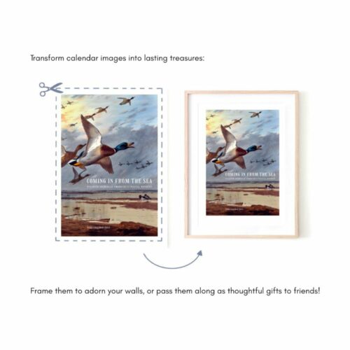 Archibald Thorburn Wall Calendar Coming in from the Sea, featuring vibrant watercolor bird prints and coastal wildlife scenes for home or office decor.