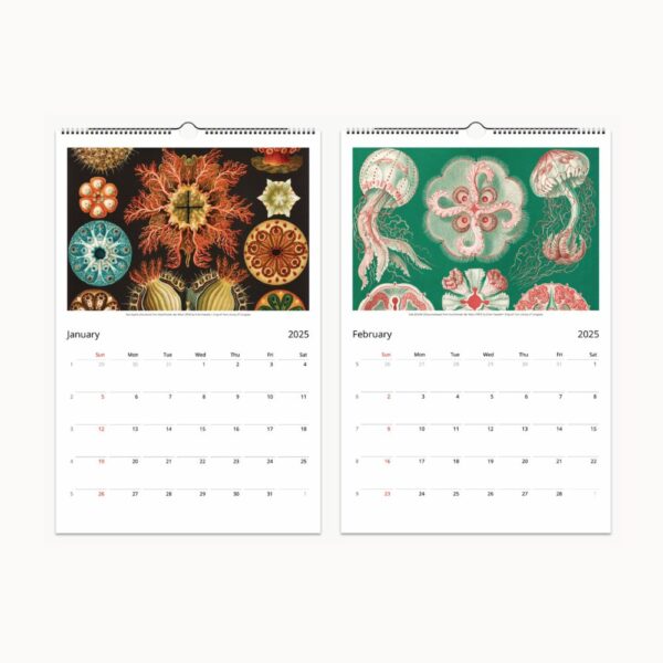 Ernst Haeckel Inspired Wall Calendar with intricate nature illustrations, featuring jellyfish and floral patterns in Art Nouveau style, perfect for history enthusiasts and art lovers.