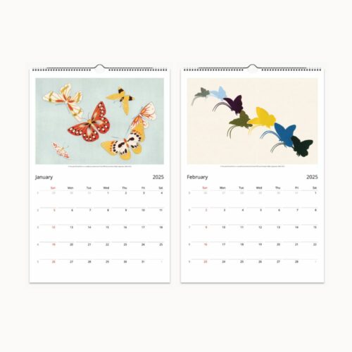 Calendar pages for January and February 2025 with colorful butterfly illustrations and a clean calendar grid layout.
