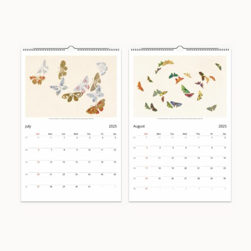 July and August 2025 calendar pages showcasing vibrant butterfly artwork with a clear monthly grid.