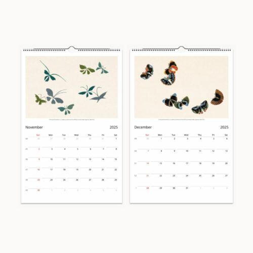 November and December 2025 calendar pages displaying elegant butterfly motifs with a straightforward calendar grid.