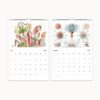 July and August from 2025 Ernst Haeckel calendar display exotic carnivorous plants and intricate sea organisms.