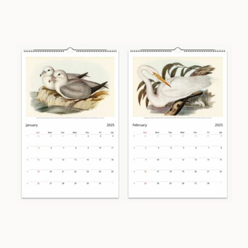Open wall calendar showcasing January and February months with illustrations of white seabirds and a single white egret amidst green foliage