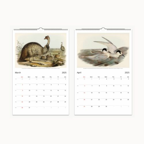 Open wall calendar for March and April featuring an emu with chicks and two tern-like birds in flight against a pale sky