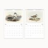 Wall calendar pages for May and June presenting illustrations of black and white penguins and a lone wading bird with intricate feather patterns