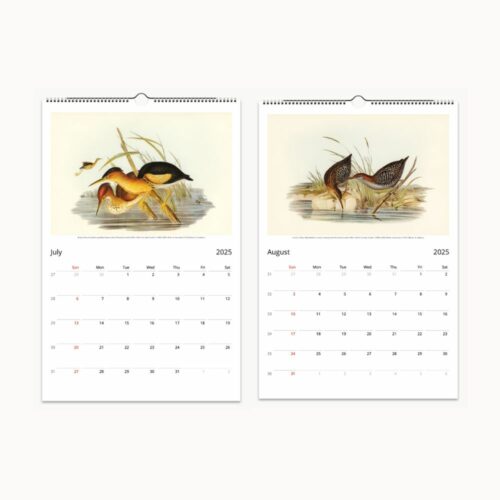 July and August pages of a wall calendar depicting colorful waterfowl in reeds and two speckled wading birds in a marshy landscape