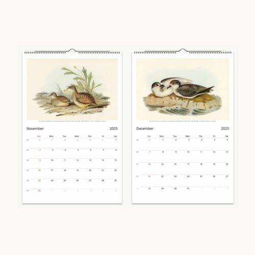 Calendar open to November and December months with artwork of two snipe-like birds in grass and a pair of plump seabirds on water