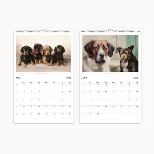 May and June from 2025 wall calendar with detailed canine portraits by Carl Reichert, showcasing dogs in nature and home environments, with clear date layouts.