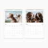 2025 wall calendar pages for July and August, displaying elegant dog paintings by Carl Reichert with room for notes on each day, excluding holidays.