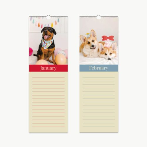 Two pages of a dog birthday calendar featuring January and February. January shows a happy black and tan dog with a party bandana, sitting among colorful balloons. February features two corgis lying down with a "Happy Birthday" sign.