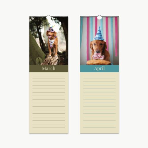 Two pages of a dog birthday calendar featuring March and April. March shows a dog standing on a log in a forest, wearing a party hat and bandana. April features a golden retriever with a birthday cake and party hat in front of colorful streamers.