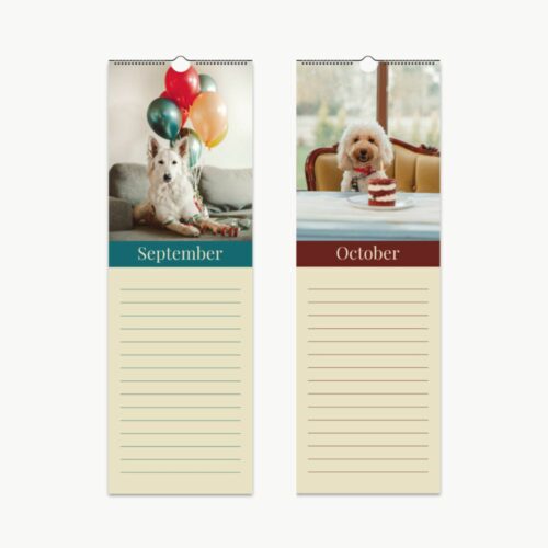Two pages of a dog birthday calendar featuring September and October. September shows a white dog with party balloons sitting on a couch. October features a poodle with a birthday cake on a table, sitting in a cozy indoor setting.
