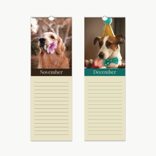 Two pages of a dog birthday calendar featuring November and December. November shows a golden retriever with a flower in its mouth, looking serene. December features a dog in a party hat and bow tie, looking festive and ready for celebration.