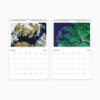 Calendar pages showing Januarys blue and beige satellite image of icy terrain, and Februarys vibrant green and blue topography.