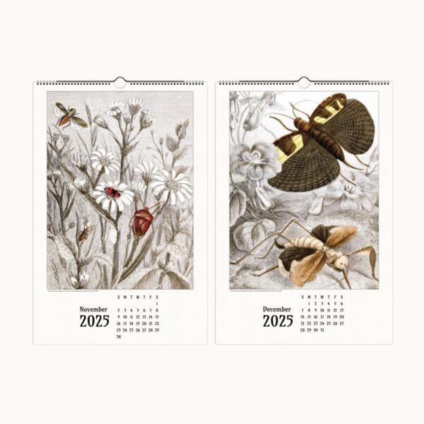 Artistic Insect Wall Calendar featuring Jules Rothschild’s vintage entomological illustrations. A nature-inspired decorative calendar blending art and science, perfect for home, office, or gifting.