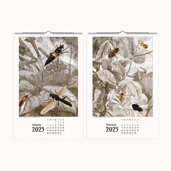 Artistic Insect Wall Calendar featuring Jules Rothschild’s vintage entomological illustrations. A nature-inspired decorative calendar blending art and science, perfect for home, office, or gifting.