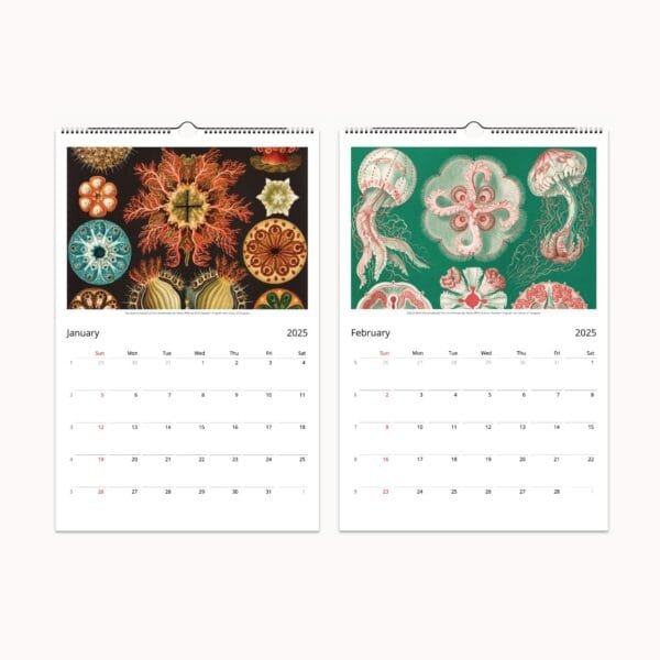 Ernst Haeckel wall calendar with botanical and scientific art from 'Art Forms of Nature.' Features vintage marine life, flora, and fauna illustrations. Perfect for home decor, office planning, or as a unique gift.