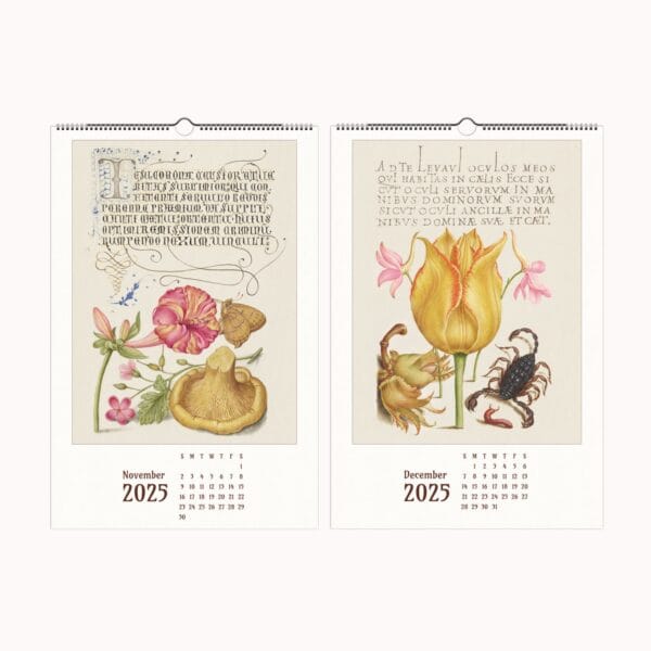 Mira Calligraphiae Monumenta wall calendar featuring Renaissance calligraphy, botanical illustrations, and natural history artwork by Joris Hoefnagel and Georg Bocskay.