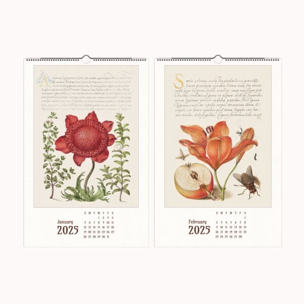 Mira Calligraphiae Monumenta wall calendar featuring Renaissance calligraphy, botanical illustrations, and natural history artwork by Joris Hoefnagel and Georg Bocskay.