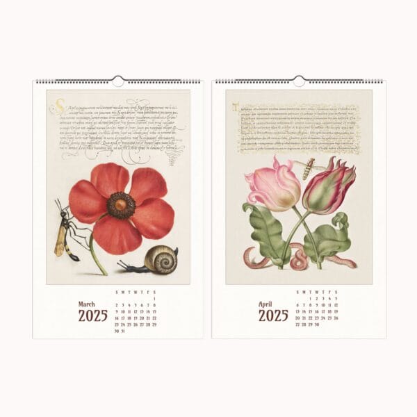 Mira Calligraphiae Monumenta wall calendar featuring Renaissance calligraphy, botanical illustrations, and natural history artwork by Joris Hoefnagel and Georg Bocskay.