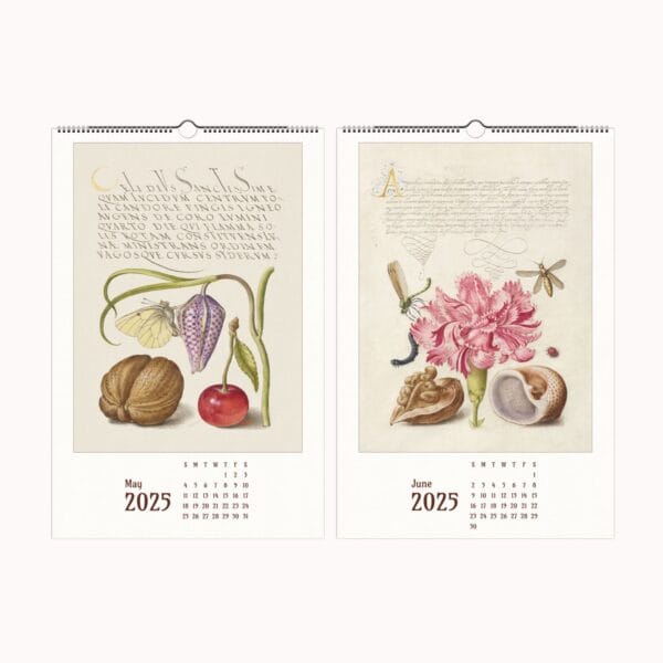 Mira Calligraphiae Monumenta wall calendar featuring Renaissance calligraphy, botanical illustrations, and natural history artwork by Joris Hoefnagel and Georg Bocskay.