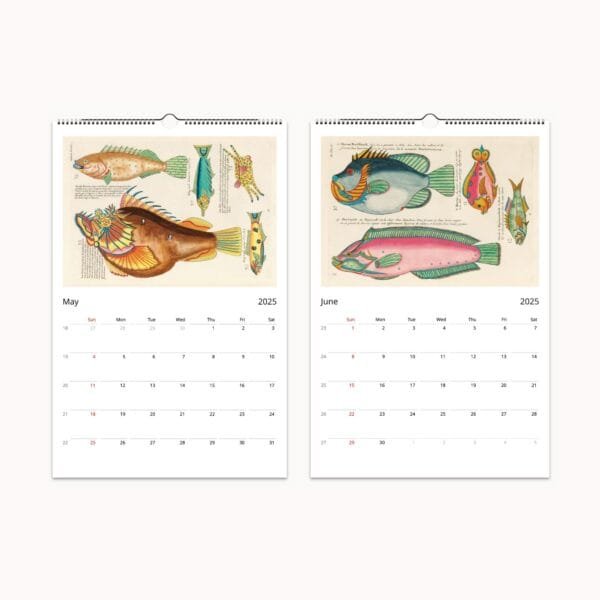 Louis Renard Wall Calendar featuring vintage marine art, historic fish illustrations, and colorful sea life engravings from the 18th century. Includes meticulously restored prints of tropical fish, crustaceans, and ocean creatures, making it a unique calendar and collectible art piece for marine biology enthusiasts and art lovers.