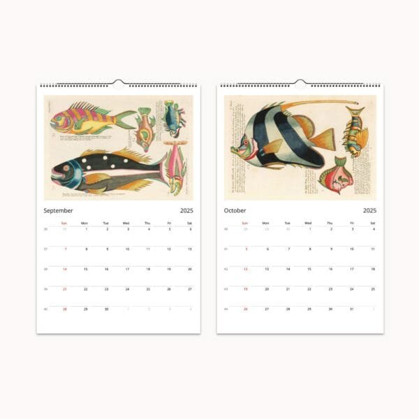 Louis Renard Wall Calendar featuring vintage marine art, historic fish illustrations, and colorful sea life engravings from the 18th century. Includes meticulously restored prints of tropical fish, crustaceans, and ocean creatures, making it a unique calendar and collectible art piece for marine biology enthusiasts and art lovers.