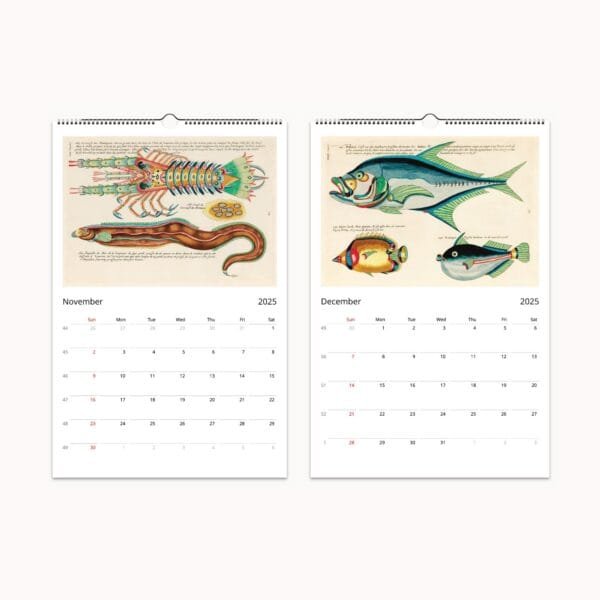 Louis Renard Wall Calendar featuring vintage marine art, historic fish illustrations, and colorful sea life engravings from the 18th century. Includes meticulously restored prints of tropical fish, crustaceans, and ocean creatures, making it a unique calendar and collectible art piece for marine biology enthusiasts and art lovers.