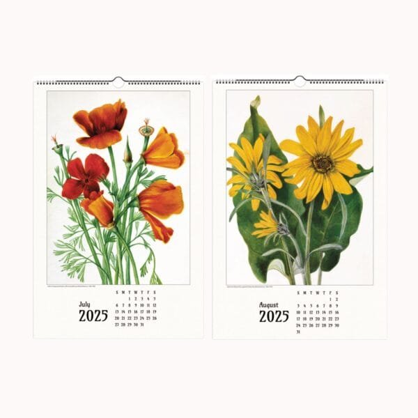 Mary Vaux Walcott botanical wall calendar featuring exquisite vintage plant illustrations, perfect for home and office decor, nature lovers, and art enthusiasts.