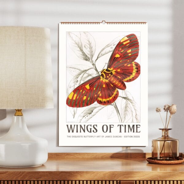 A beautifully designed butterfly wall calendar featuring the exquisite nature illustrations of James Duncan. Each month showcases intricate and colorful butterfly and moth artwork, meticulously detailed to highlight the beauty of these winged wonders. The calendar is designed for easy framing, making it a perfect gift for art lovers and nature enthusiasts. Displayed in a stylish home setting, this calendar seamlessly blends vintage artistry with modern decor.