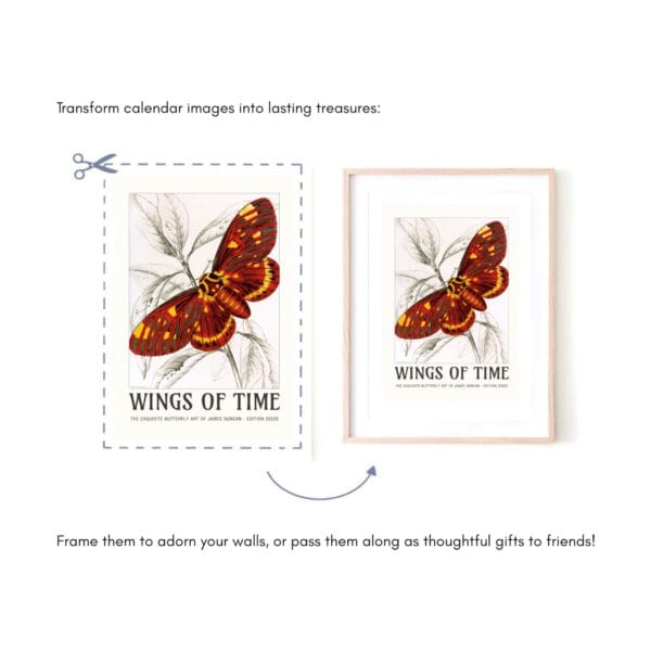 A beautifully designed butterfly wall calendar featuring the exquisite nature illustrations of James Duncan. Each month showcases intricate and colorful butterfly and moth artwork, meticulously detailed to highlight the beauty of these winged wonders. The calendar is designed for easy framing, making it a perfect gift for art lovers and nature enthusiasts. Displayed in a stylish home setting, this calendar seamlessly blends vintage artistry with modern decor.