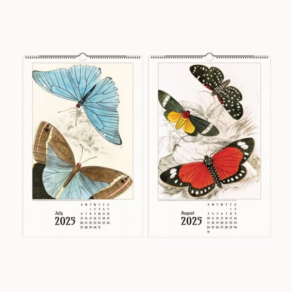 A beautifully designed butterfly wall calendar featuring the exquisite nature illustrations of James Duncan. Each month showcases intricate and colorful butterfly and moth artwork, meticulously detailed to highlight the beauty of these winged wonders. The calendar is designed for easy framing, making it a perfect gift for art lovers and nature enthusiasts. Displayed in a stylish home setting, this calendar seamlessly blends vintage artistry with modern decor.