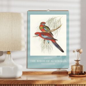 John Gould Birds of Australia Wall Calendar with vintage bird illustrations. Stunning avian artwork for bird lovers, ornithology fans, and nature decor. Available in multiple sizes. A unique gift for wildlife fans, art collectors, and history buffs.