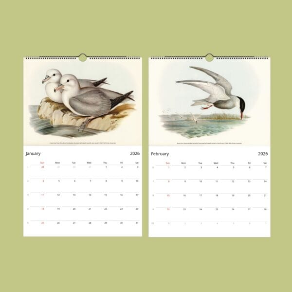 John Gould Birds of Australia Wall Calendar with vintage bird illustrations. Stunning avian artwork for bird lovers, ornithology fans, and nature decor. Available in multiple sizes. A unique gift for wildlife fans, art collectors, and history buffs.