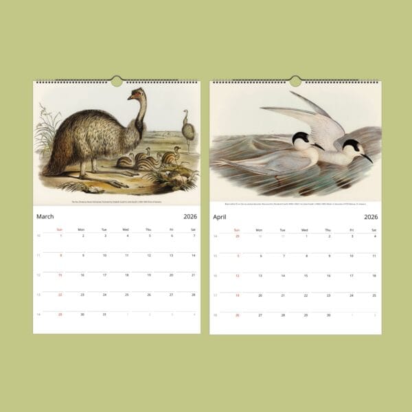 John Gould Birds of Australia Wall Calendar with vintage bird illustrations. Stunning avian artwork for bird lovers, ornithology fans, and nature decor. Available in multiple sizes. A unique gift for wildlife fans, art collectors, and history buffs.