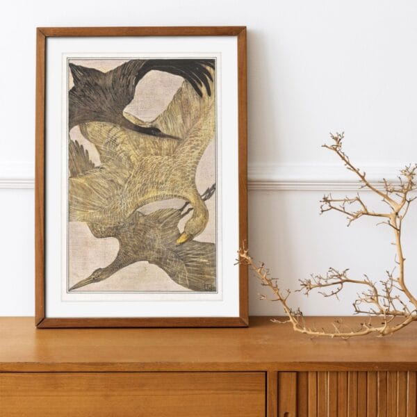 Vintage bird illustrations by Theo van Hoytema featuring three crested chickens, two standing ducks, and three flying birds. These timeless artworks blend nature and elegance, perfect for classic wall decor in modern and rustic interiors.