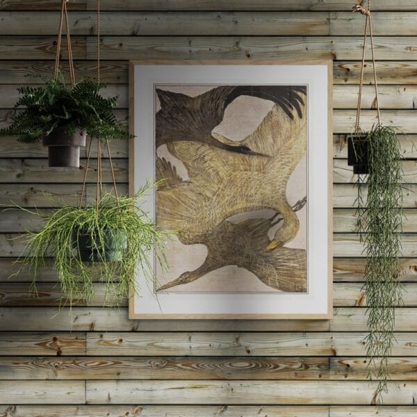 Vintage bird illustrations by Theo van Hoytema featuring three crested chickens, two standing ducks, and three flying birds. These timeless artworks blend nature and elegance, perfect for classic wall decor in modern and rustic interiors.