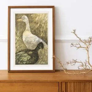 Vintage illustration by Theo van Hoytema of two ducks, one white and one black, set against a natural backdrop. A timeless piece celebrating the grace of waterfowl.