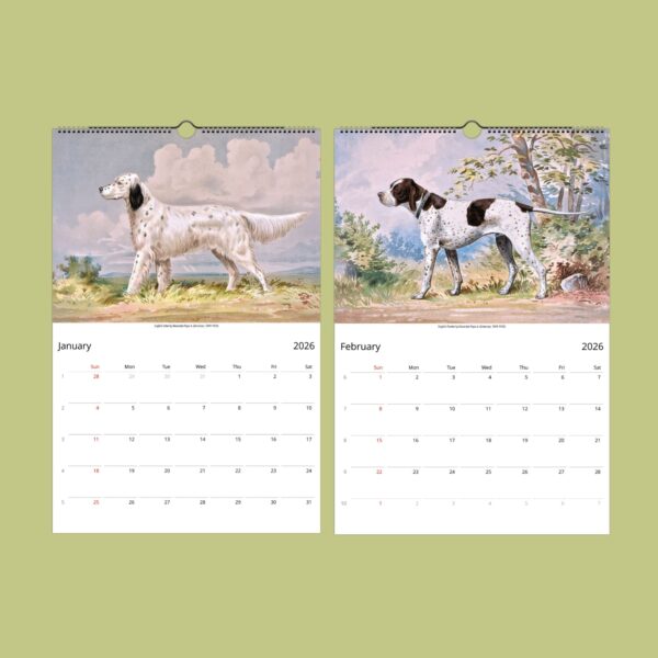 2026 calendar featuring January, February with dog illustrations.